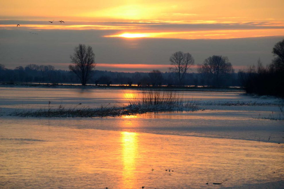 Wandelvakantie-ijsselvallei