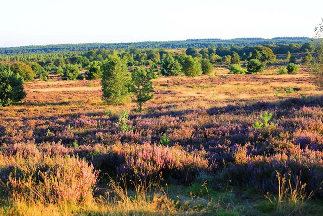 fietsvakantie twente